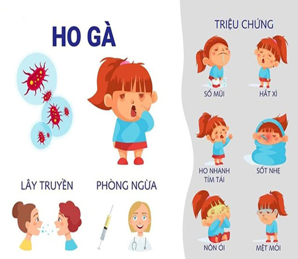 Tuyên truyền phòng, chống bệnh ho gà và các bệnh dự phòng bằng vắc xin